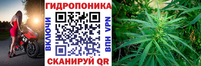 Наркота Мценск Конопля  Cocaine  APVP  ГАШИШ 