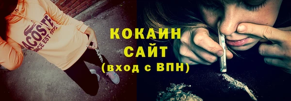 прущие грибы Балабаново
