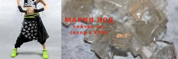 прущие грибы Балабаново