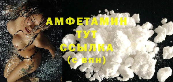 прущие грибы Балабаново