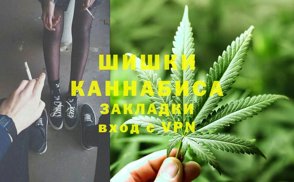 прущие грибы Балабаново