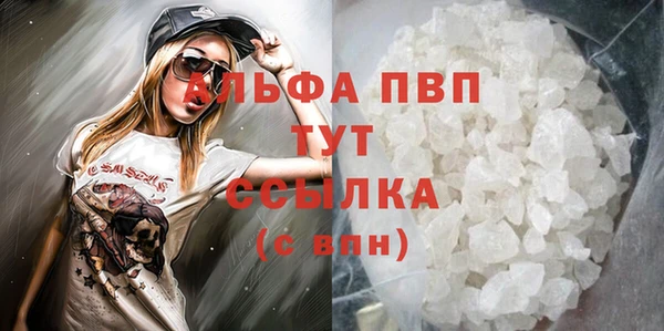 прущие грибы Балабаново