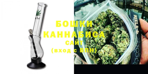 прущие грибы Балабаново