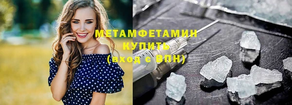 прущие грибы Балабаново