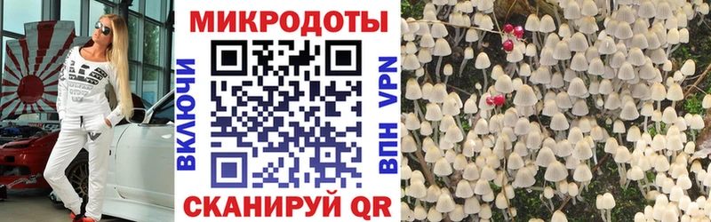 Псилоцибиновые грибы мицелий  наркотики  Мценск 