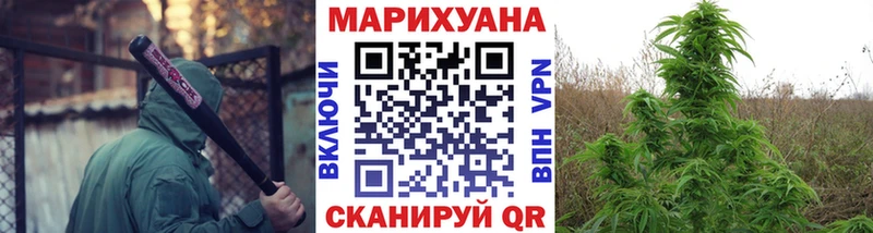 где купить   Мценск  Бошки марихуана SATIVA & INDICA 